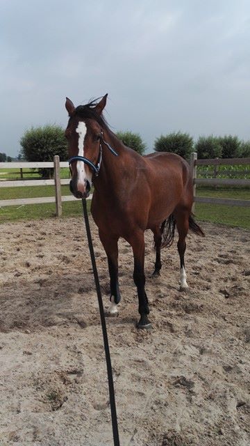 Peesbeschermers zijn NIET interessant