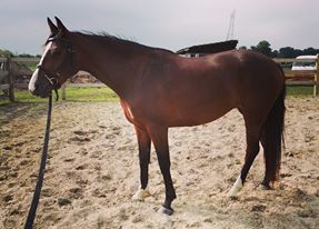 1ste keer hoofdstel!